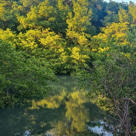 ホテル Ecocasa Rio Sauipe ポルト・デ・サウイペ エクステリア 写真